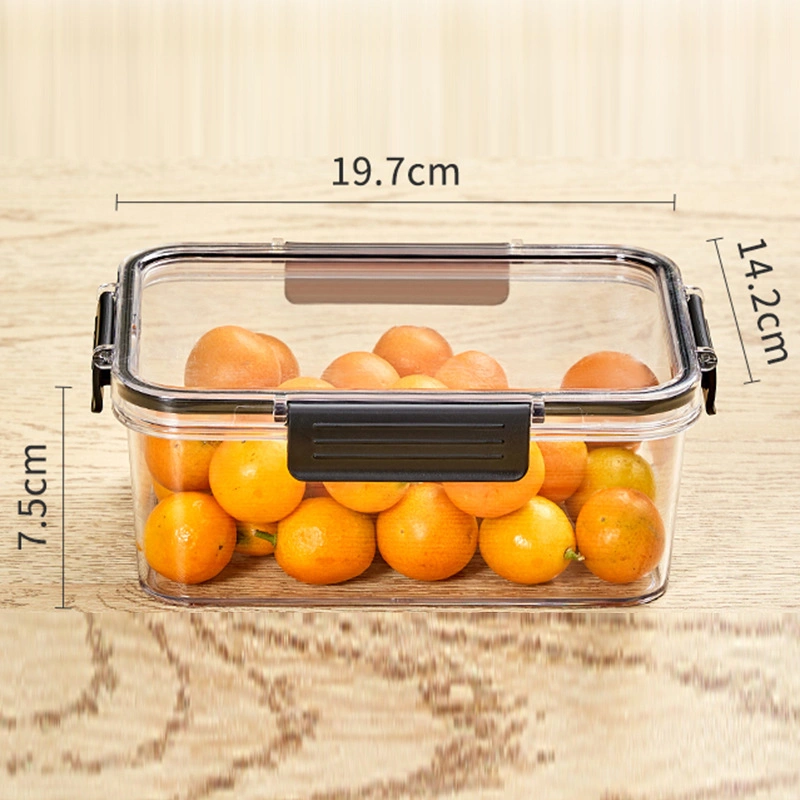 Compartment Sealed Large-Capacity Salad Fruit Home Transparent Frozen Separated Crisper Box