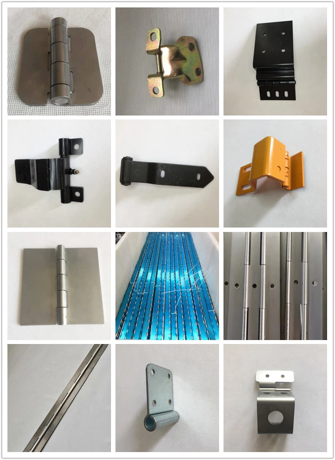 Stainless Steel Friction Hinge for Window