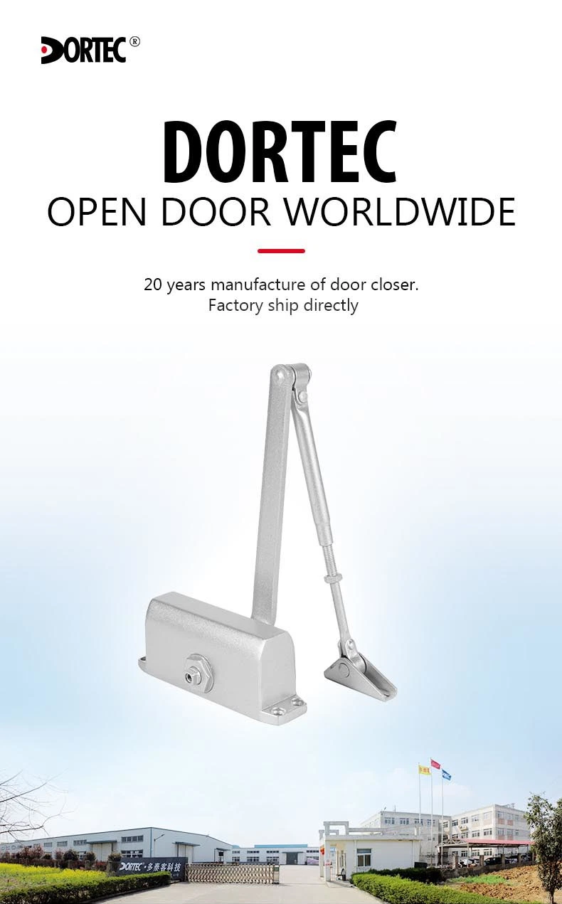 Mini Door Closer Type for Home 45kgs Door