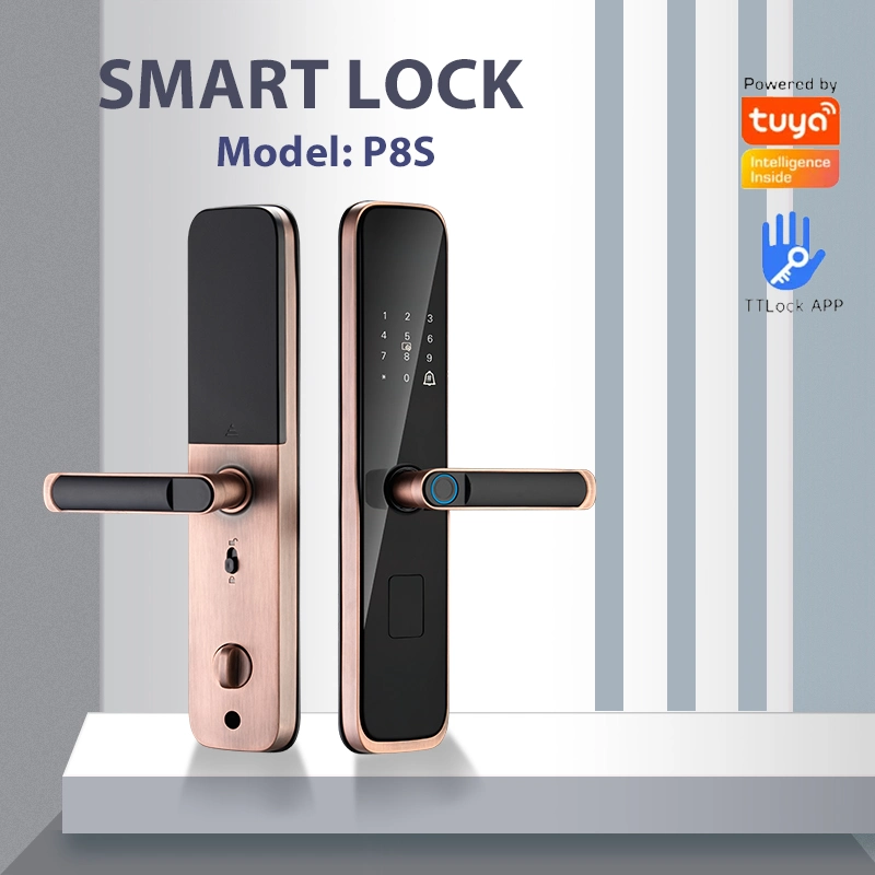 Remote Capture with Camera Key Fingerprint Password Semi-Automatic Electronic Handle Tuya Ttlock WiFi Smart Lock