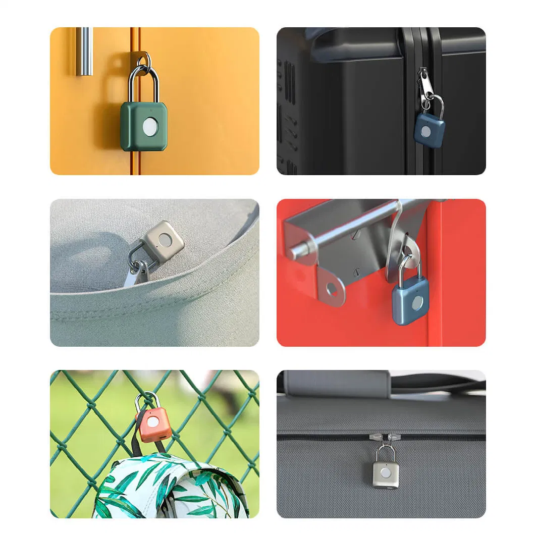 Popular Fingerprint Padlock Lock