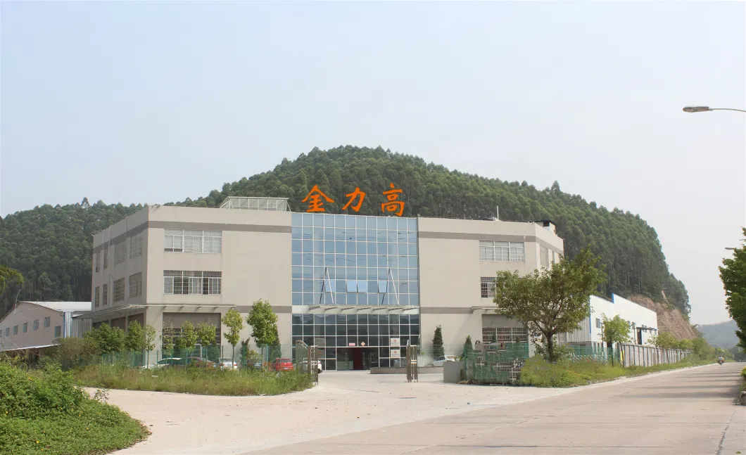 China Factory Zinc Alloy Security Door Chain (DG002)