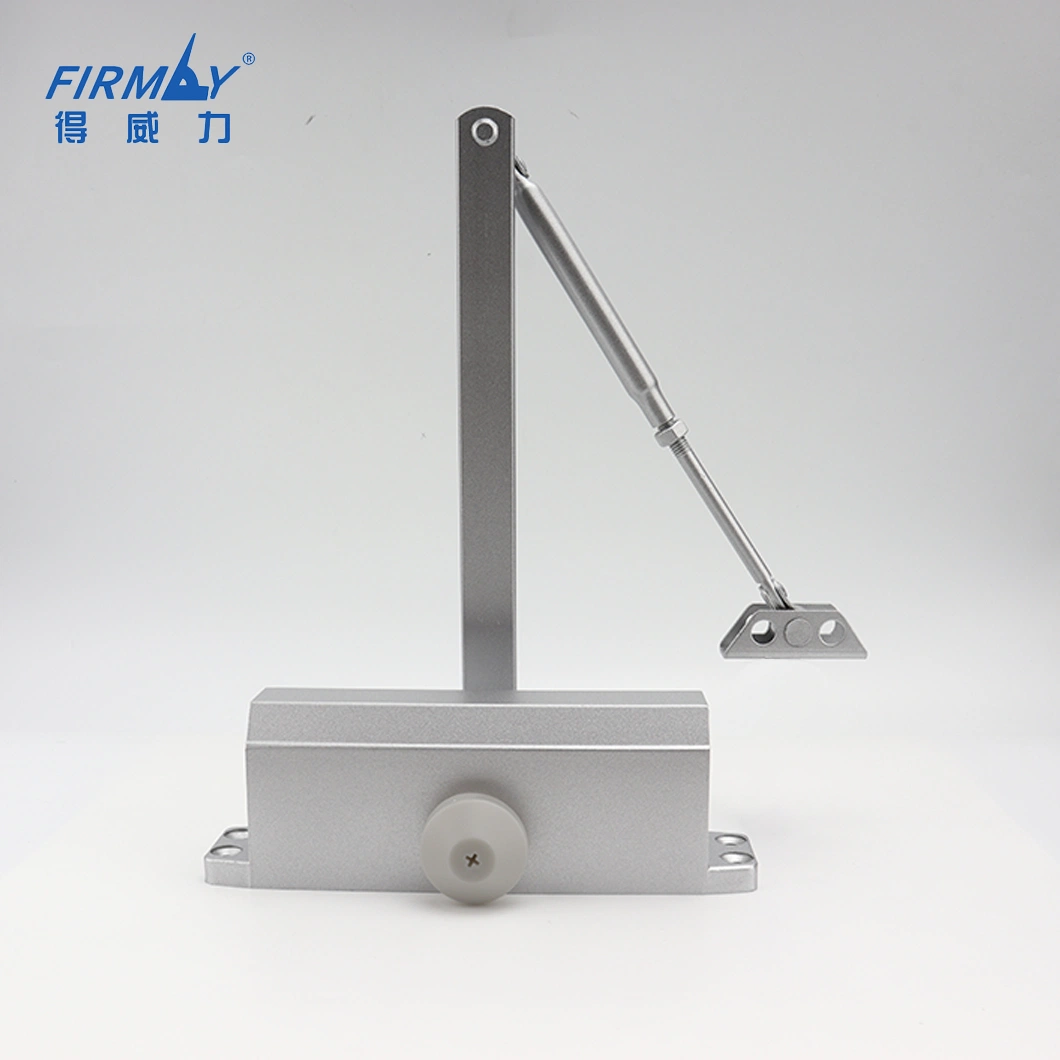 Factory Special Price Wholesale Aluminum Alloy Hardware Products Automatic Door Closer