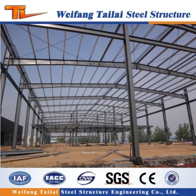 Made in China Multi-Storey Steel Structure with Light Steel Frame
