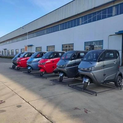 Old Man Happy EEC Mini Electric Passenger Car
