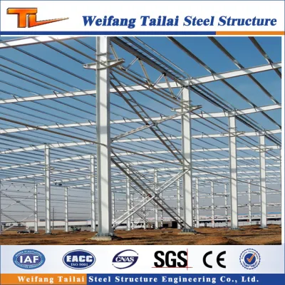 Made in China Multi-Storey Steel Structure with Light Steel Frame