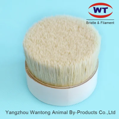Grey Boiled Bristles Mixed with Synthetic Polyester Pet PBT Tapered Filaments for Paint Brushes Making