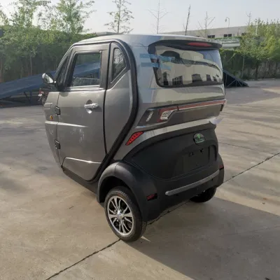 Runhorse EEC Safe Electric New Mini Car for Europe Market