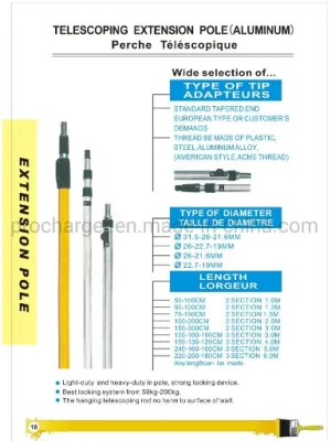 3m 2 Section Extension Telescope Pole for Painting with Pull Button Lock Aluminum Extension Pole with Customization