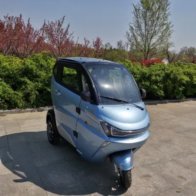 Clean New Energy Lithium Battery Electric Passenger Mini Car
