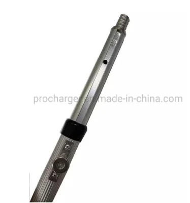 3m 2 Section Extension Telescope Pole for Painting with Pull Button Lock Aluminum Extension Pole with Customization