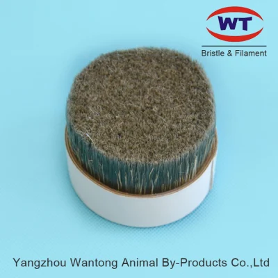Grey Boiled Bristles Mixed with Synthetic Polyester Pet PBT Tapered Filaments for Paint Brushes Making