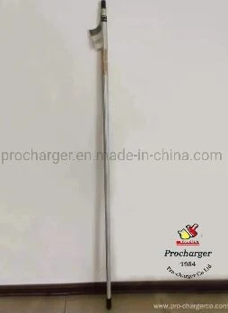3m 2 Section Extension Telescope Pole for Painting with Pull Button Lock Aluminum Extension Pole with Customization