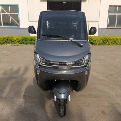 Runhorse EEC Safe Electric New Mini Car for Europe Market