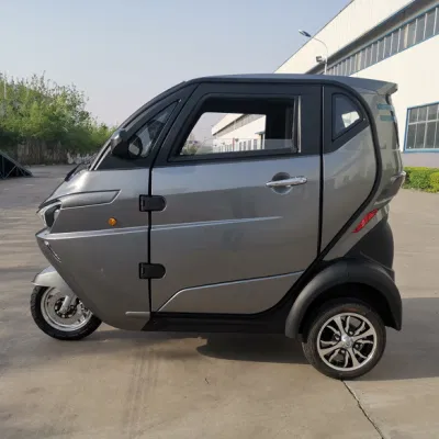 Runhorse EEC Safe Electric New Mini Car for Europe Market
