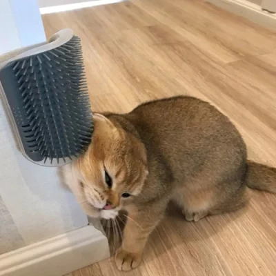 Cats Brush Corner Cat Massage Self Groomer Comb Brush Cat Rubs The Face with a Tickling Comb Cat Product