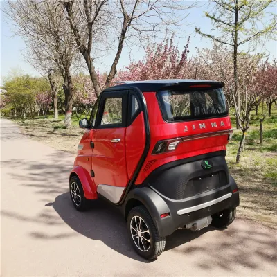 Runhorse L6e 3000W Electric Cars for Sale