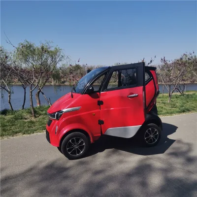 Runhorse L6e 3000W Electric Cars for Sale