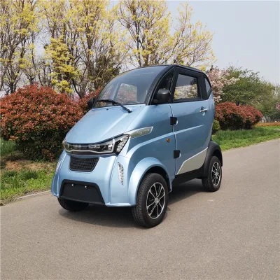 Runhorse L6e 3000W Electric Cars for Sale