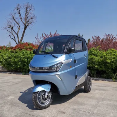 Clean New Energy Lithium Battery Electric Passenger Mini Car