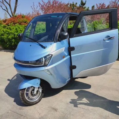 Clean New Energy Lithium Battery Electric Passenger Mini Car