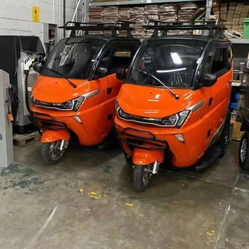 Mini Three Wheels Car with EEC