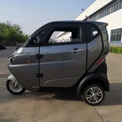 Chinese Clean Green Energy Electric Cars for Sale