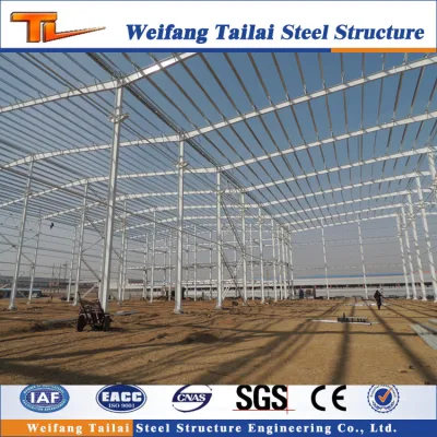 Made in China Multi-Storey Steel Structure with Light Steel Frame