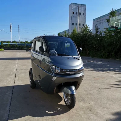 Chinese Clean Green Energy Electric Cars for Sale