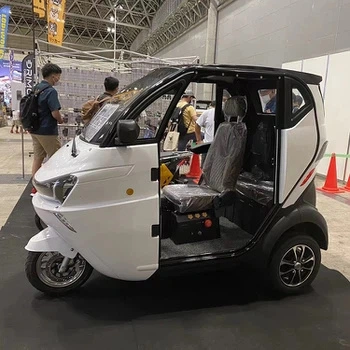 Mini Three Wheels Car with EEC