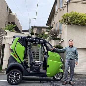 Mini Three Wheels Car with EEC