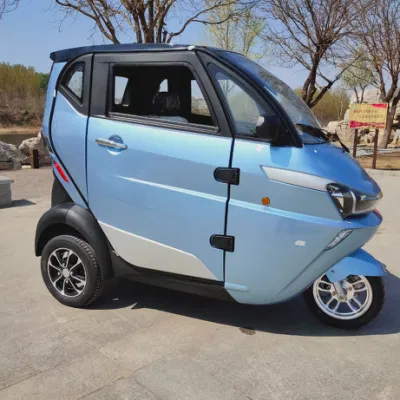 Clean New Energy Lithium Battery Electric Passenger Mini Car