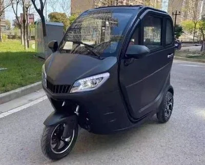 Low-Speed Electric Vehicle Old Man Happy Car Wholesale Urban Electric Car EEC Certification Fully Enclosed High Performance Auto Car