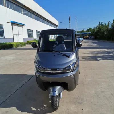 Lead Acid Battery L2e 2 Seats Electric Car for Sale