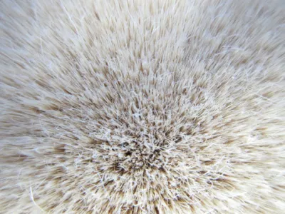 High Imitation Synthetic White Boiled Bristle Pet PBT Hollow Solid Mixed Tapered Paint Brush Filaments