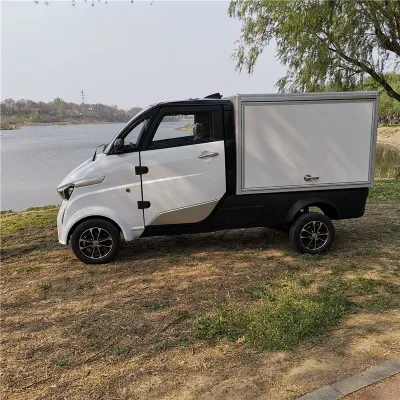Mini Electric Pickup Car with EEC Certificate for Sale