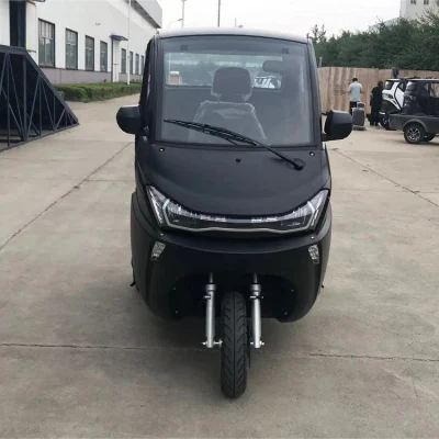 J1 with 105ah, LiFePO4 Battery of BMS System, 3000 AC Motor, Three Wheels Car