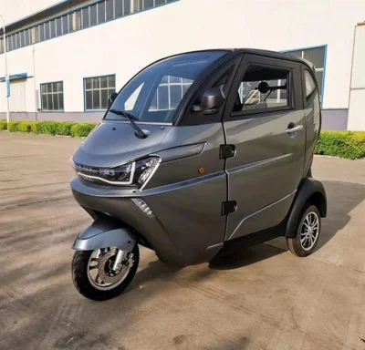 J1 with 105ah, LiFePO4 Battery of BMS System, 3000 AC Motor, Three Wheels Car