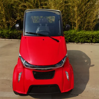 Runhorse Little All Electric Cars with Iron Lithium Battery