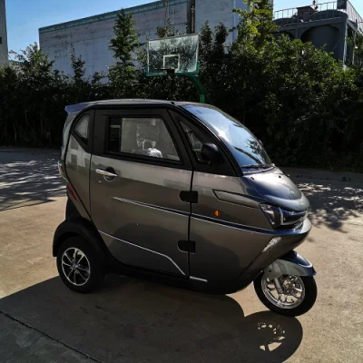 Chinese Clean Green Energy Electric Cars for Sale