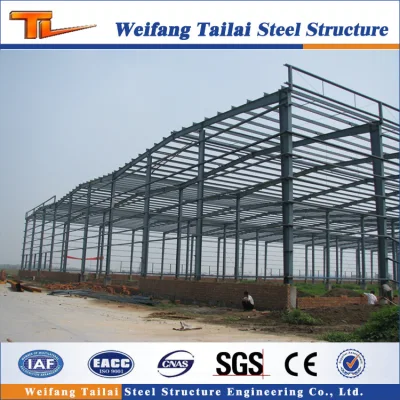 Made in China Multi-Storey Steel Structure with Light Steel Frame
