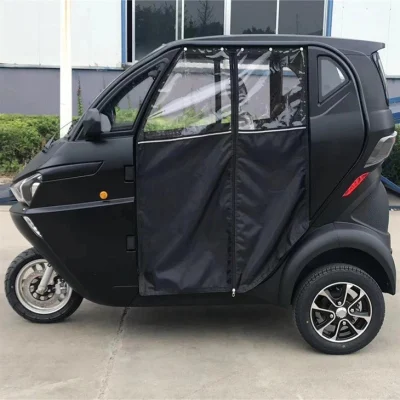 Old Man Happy EEC Mini Electric Passenger Car