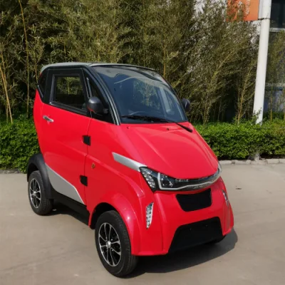 Electric Smart Car with EEC Certificate to Apply Number Plate