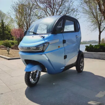 Clean New Energy Lithium Battery Electric Passenger Mini Car