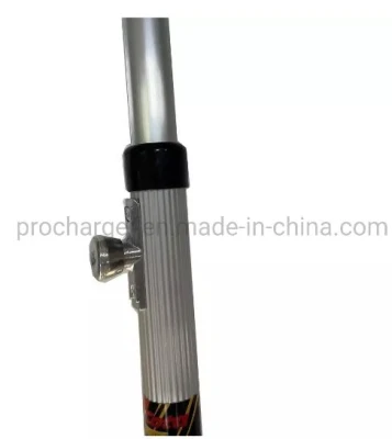 3m 2 Section Extension Telescope Pole for Painting with Pull Button Lock Aluminum Extension Pole with Customization