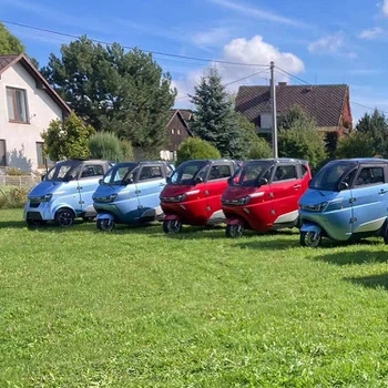 Mini Three Wheels Car with EEC