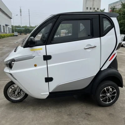 Old Man Happy EEC Mini Electric Passenger Car