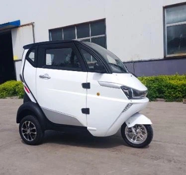 Low-Speed Electric Vehicle Old Man Happy Car Wholesale Urban Electric Car EEC Certification Fully Enclosed High Performance Auto Car