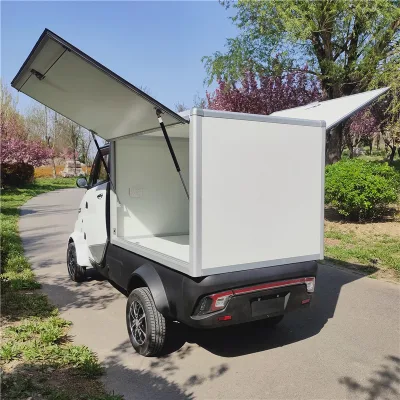Mini Electric Pickup Car with EEC Certificate for Sale