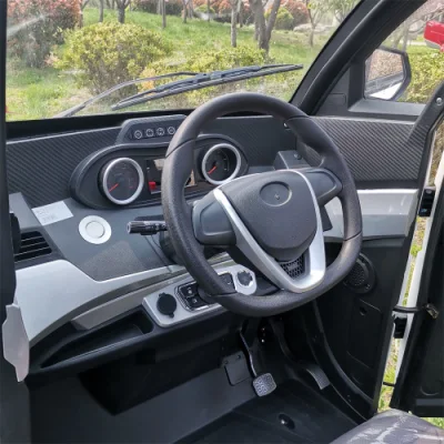 Runhorse Little All Electric Cars with Iron Lithium Battery